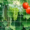 DOLEMODUO 7X 30 Ft Nylon Trellis Netting, 6×6 Heavy Duty