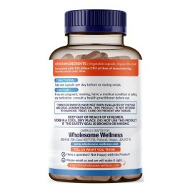 100 Billones Probióticos Orgánicos Cfu Enzimas Digestivas