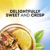 Lipton Family Tea Bags Southern Sweet Tea 22 count