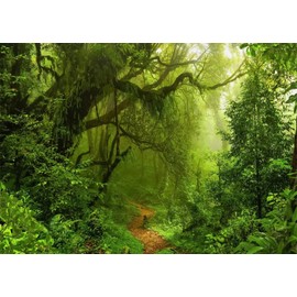 Loccor 5x3ft Rainforest Landscape Backdrop Jungle Photography Background Spring Nature Tapestry Wilderness Dino Birthday Party Supplies Garden Tea Party Decorations Wedding Photoshoot Studio Props