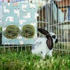2Pcs Hay Feeder Bag for Rabbits, 2-Hole Hanging Rabbit Hay