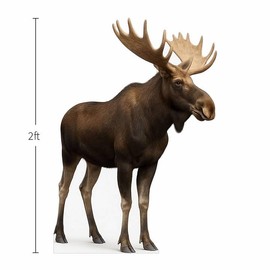 Moose 2FT Life Size Cardboard Cutout – A Fun Animal Standup for Photo Booths, Birthday Parties, and Events