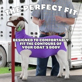 Show Pro Pink Spandex Goat Tube for Show Goats - Show Livestock Supplies: Goat Covers & Blankets (Medium)