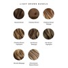 Hair Color Sample Swatch Bundle - Light Brown
