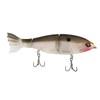 Googan Squad Jr. Contender - 7" Gizzard Shad