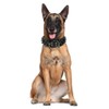 Pimaodog Sharp Spiked Studded Dog Collar 2 Inch Width Stylish