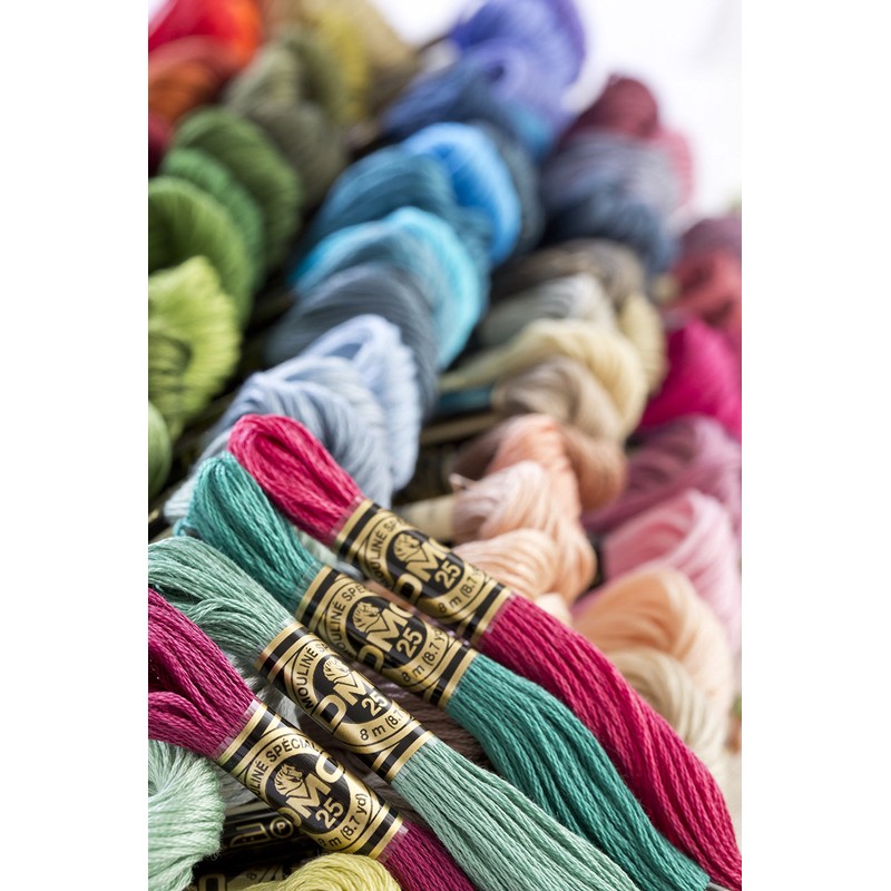 DMC 117-3772 Mouline Stranded Cotton Six Strand Embroidery Floss Thread,