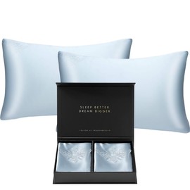 QUEEN BEE SILK - 2 Pack Silk Pillowcase for Hair and Skin - 22 Momme Mulberry Silk - Charmeuse Weave - Envelope Closure - Queen Size - Sky Blue