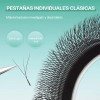 Extensiones De Pestañas 3D In W, 8–15 mm, Naturales y