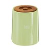 Premier Housewares Tea Canister, Container, Dolomite - Green