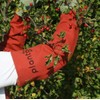planto Armschützer Armschoner aus Canvas Dornenschutzhandschuhe sicherer Schutz gegen Dornen