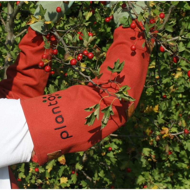 planto Armschützer Armschoner aus Canvas Dornenschutzhandschuhe sicherer Schutz gegen Dornen