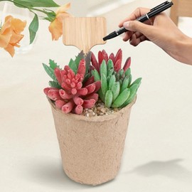 Etiquetas de plantas de madera de 60 piezas de madera Teligas de tipo T con marcador Pen 2.4x3.9 '' Marcadores de jardín impermeables letrero de planta de plántulas reutilizables para plantas en