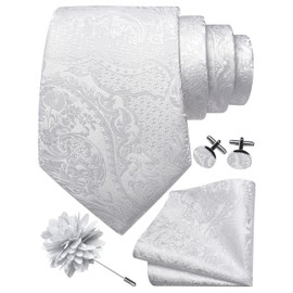 GUSLESON White Tie Set for Men Silk Paisley Necktie Pocket Square Cufflinks and Lapel Pin Brooch Set for Wedding (6114-07)