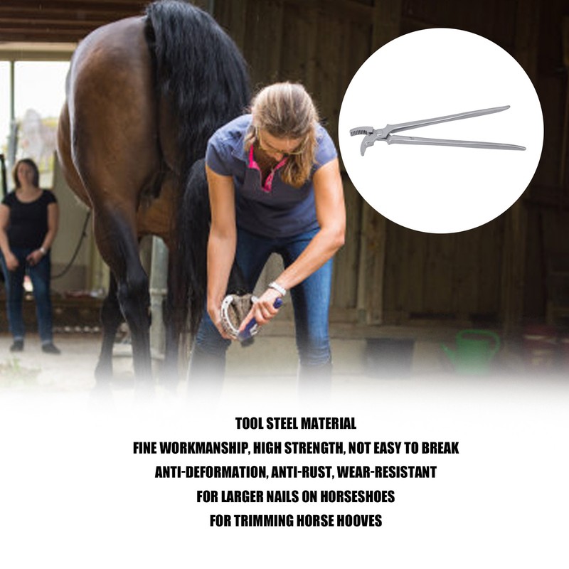 Horse Clincher High Strength Steel Rust Resistant Wear Resistant Hoof