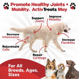 Glucosamine for Dogs Hip and Joint Supplement - Safe Joint Support for Dogs - Dog Joint Supplement with Glucosamine Chondroitin MSM Turmeric for Dogs - 120 Joint Care Chews for Dogs ActivTreats