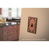 BRAINERD 64260 French Lace Double Decorator Wall Plate / Switch