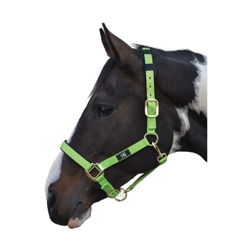 Hy Deluxe Padded Head Collar: Green: full size