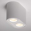 CGC Lighting White Twin Round Cylinder Surface Mount Ceiling Spotlight