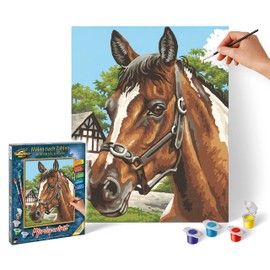 Schipper 9240 381 - Painting by Number, Horse Portrait, 24x30 cm