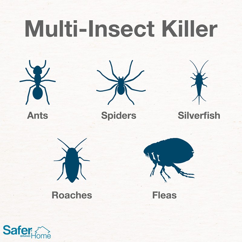 Safer Brand Safer Home SH110 Indoor Ant, Fly, Roach, Spider,