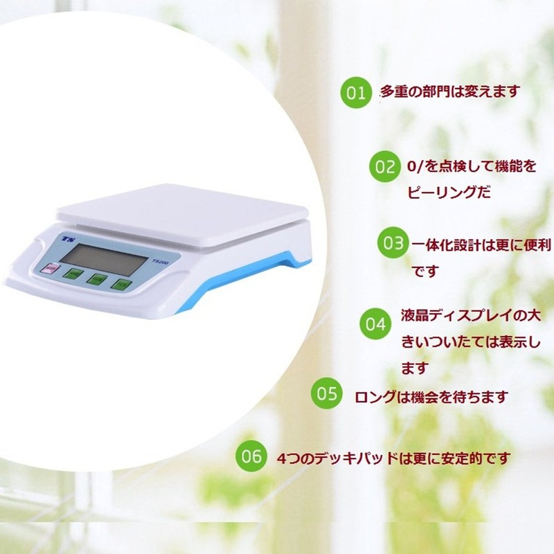 Digital Scale, Weighing from 0.5 g to 22.0 lbs (10