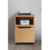OSP Home Furnishings Denmark Rolling File Cart and Printer Stand
