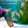 Alovez Pack of 2 Aquarium Tunnel Underground Decoration for Small