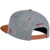 Cadency® Viking Snapback Cap, Grey, Unisex, Adjustable Size, gray, One