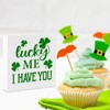 St. Patricks Day Decor Irish Blessing Plaque Sign Lucky Me