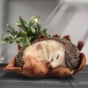 Vivid Arts - Young hedgehog in leaf - XRL-HH09-D