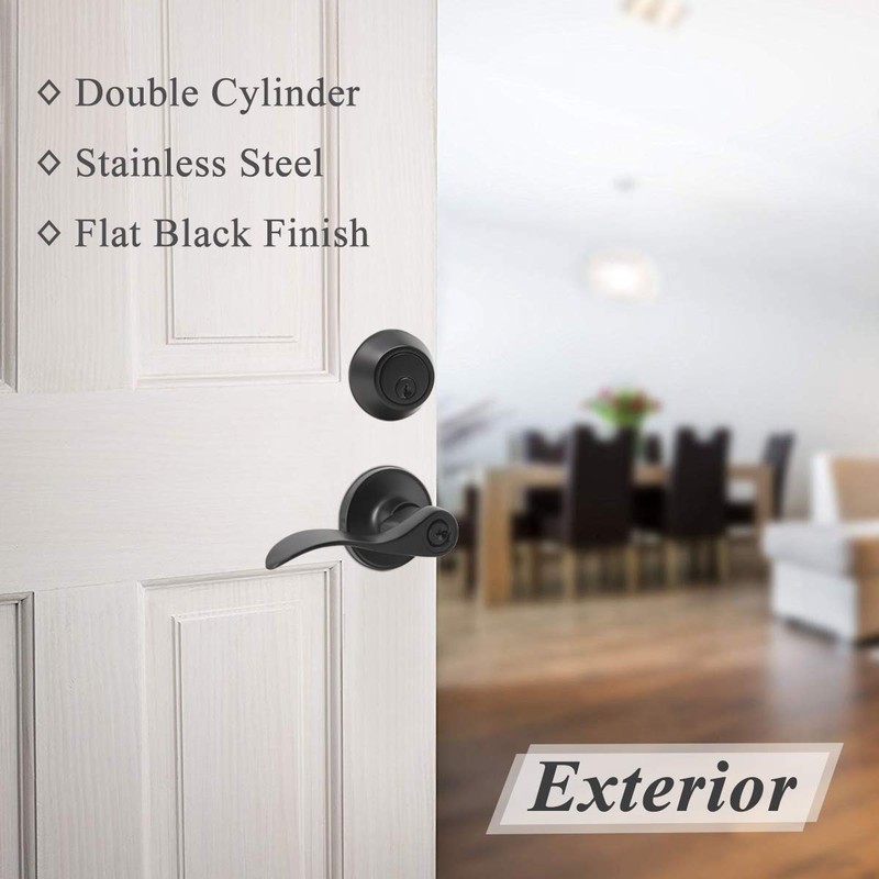 Probrico Entrance Lever Door Handle, Reversible for Right and Left