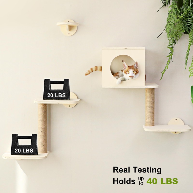 FUKUMARU Cat Wall Shelves, 5-Piece Stable Wooden Wall-Mounted Furniture Set,
