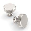 Coinkoly 10 Pack Brushed Satin Nickel Cabinet Knobs Single Hole