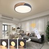 EDISLIVE Ceiling Light Dimmable 19inch Modern Minimalist LED Round Shaped