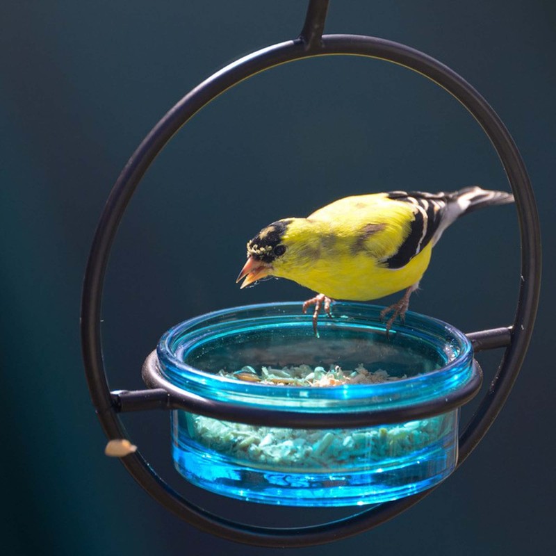Mosaic Birds Hummble Basic Bird Feeder, M045-200-09, 3.4 Ounce Capacity,