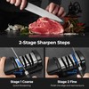 Electric Knife Sharpener, Precise 20° Diamond Knife Sharpener for Kitchen