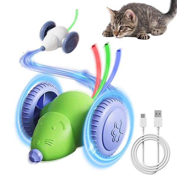 Wenosda Electric Toy Mouse for Cats, Pack of 2 Interactive