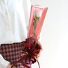 100 Pcs Clear Gold Edge Rose Packaging Bag Single Rose