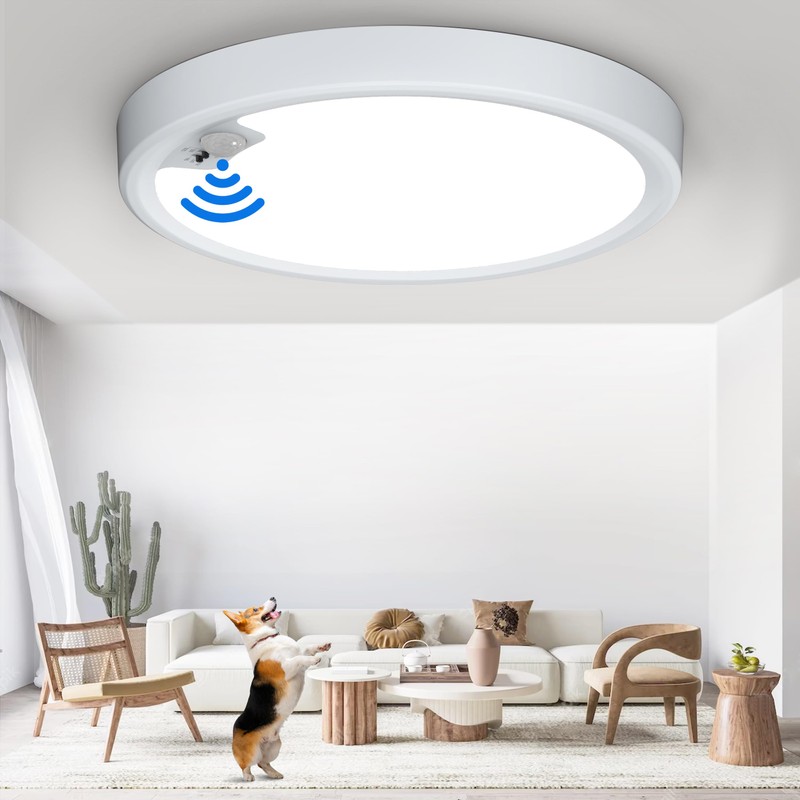 Motion Sensor Ceiling Light Wired, LED Flush Mount Ceiling Light