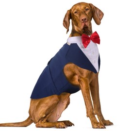 IDOMIK Dog Tuxedo for Small Medium Large Doggie, Detachable Dog Formal Wedding Suit with Tuxedo Vest & Bow Ties Collar & Bandana Scarf Set, Wedding Attire Shirt for Birthday Party Costume