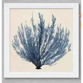Home Decor Coastal Seaweed III Canvas Wall Art Shadow Box, Sea Life Home Decor