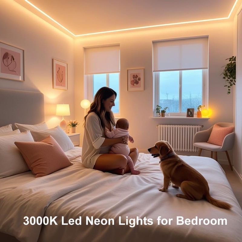 iNextStation LED Strip Lights Warm White, 12V 16.4ft 5m Neon