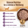 Wellness 95% Chicken Natural Wet Grain Free Canned Dog Food,