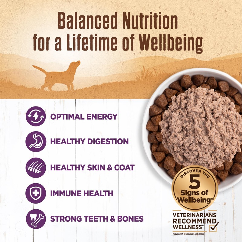 Wellness 95% Chicken Natural Wet Grain Free Canned Dog Food,