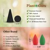 50 Unscented Charcoal Incense Cones 1" TOPFLOW - 100% Natural