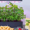 iDOO 12Pods Hydroponics Growing System, Indoor Garden with Grow Light,