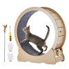 Large 35.8-Inch Detachable Carpet Cat Exercise Wheel Indoor Running Treadmill