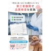 Croissant Magazine, Supervised by Veterinarian x JPPMA Certified, Elizabeth Collar