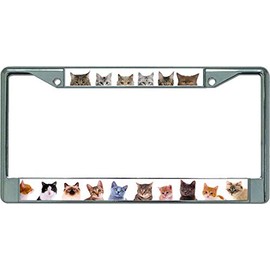 Adorable Cats and Kittens Chrome License Plate Frame